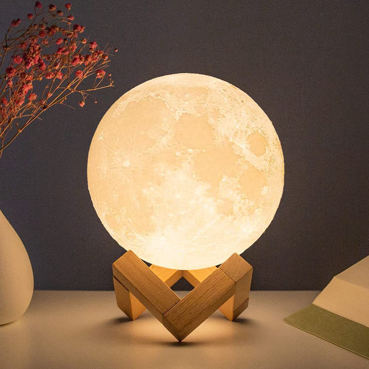 LED Moon Decor Light